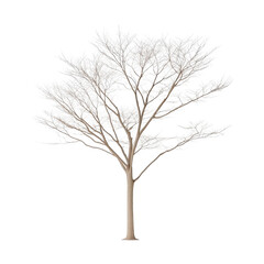 Obraz premium A tree with no leaves is depicted on a white background. The tree appears to be bare and lifeless, with no signs of growth or foliage. Concept of emptiness and desolation
