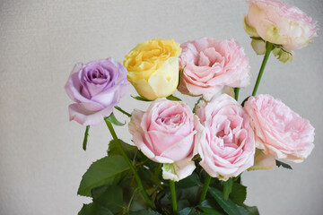 カラフルなばら