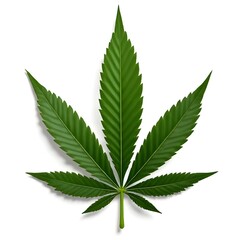 Green Cannabis Leaf with Serrated Edges &ndash; Iconic Symbol of the Cannabis Plant