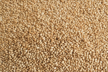 Close-Up of Raw Sesame Seeds Texture