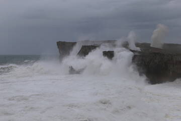 Bufones 