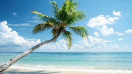 Clear Blue Sky Above Tropical Beach with Lush Green Palm Tree Leaning Towards Calm Ocean Waves