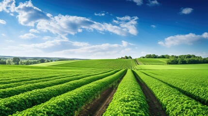 Naklejka premium er agriculture farm