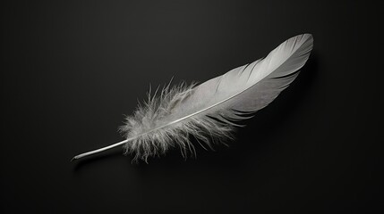 Obraz premium simplicity dark grey background