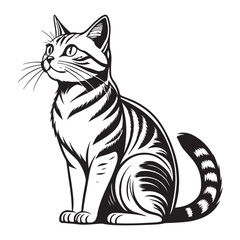 CAt Vector