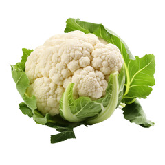 Cauliflower on White Background
