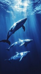 Naklejka premium Whales swim upwards towards light in the depths of a dark blue ocean scene