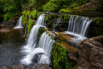 Obraz premium waterfall in the forest