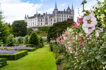 Fototapeta premium Dunrobin Castle, fairy-tale gem overlooking North Sea, offers breathtaking gardens, exquisite summer blooms. A masterpiece of elegance, lush landscapes meet historic charm, unfold on manicured lawns