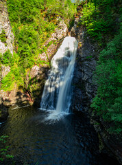 waterfall in the forest