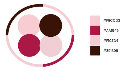  Rose Quartz, Rose Red, Rose Quartz, Puce circle color palette. Trend color guide palette catalog samples in rgb hex. Color palette for fashion designers, business, and paints colors company