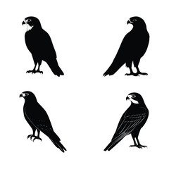 Fototapeta premium Falcon a simple minimal black silhouette set