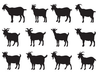 GOAT SILHOUETE WHITE BACKGROUND
