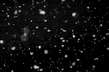 Texture of natural falling snow on black background.