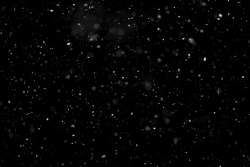 Texture of natural falling snow on black background.