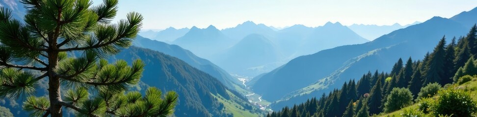 Obraz premium Pine tree in the foreground with distant mountains and valley, mountainous, alpine