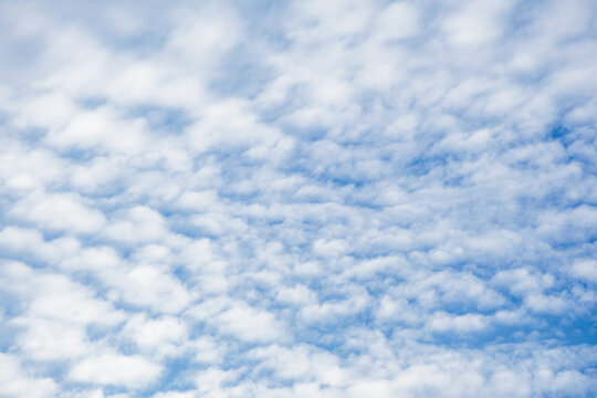 Cirrocumulus clouds on blue sky background. Natural fluffy cloud. High altitude cloudscape.