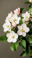 Obraz premium Elegant Blossoming apple trees in a spring garden branches covered in pink and white flowers with sunlight filtering through the petals idyllic countryside scene 