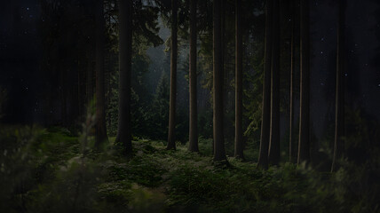 Fototapeta premium A deep, dark forest with faint starlight filtering through the canopy.