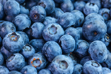 Blueberry or Bilberries background. Macro texture of blueberry berries. Fresh blueberry background. Healthy organic eating concept. 