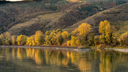 Die Donau in der Wachau