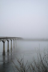 Fototapeta premium Old Stone Bridge Over a Foggy River with Bare Trees in the Distance