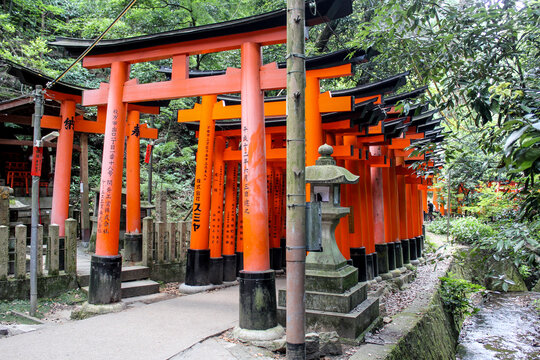 Torii Gates at Fushimi Inari Shrine, Kyoto