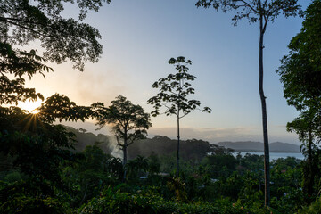 Sunrise Over the Lush Tropical Jungle in Puerto Viejo de Talamanca, Costa Rica