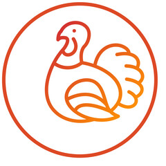 Vector Design Turkey Icon Style
