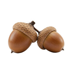 A true-to-life rendering of two acorns