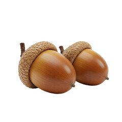  A meticulous digital rendering of two acorns