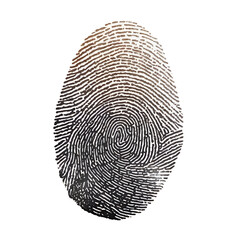 human ink fingerprint isolated on white or transparent background png