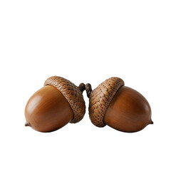 A lifelike close-up of two acorns