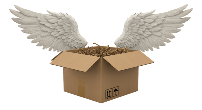 Cardboard Box with Packing Material and Wings Concept on White