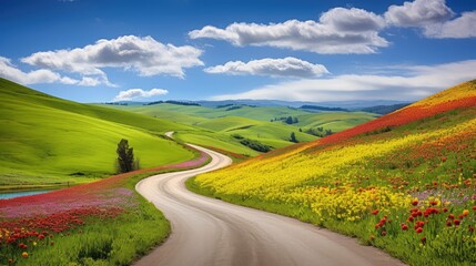 Obraz premium fields paved roads