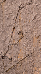 Lumpy texture of a white paint colour