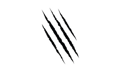 Animal silhouette claw paw marks, tiger, dog, lion, monster, scratches, talons cuts cat, tiger, isolated on transparent background.