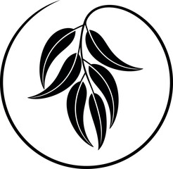 Eucalyptus logo. Isolated eucalyptus on white background © oleg7799