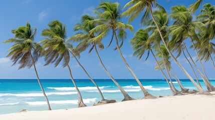 Obraz premium beach pictures of trees