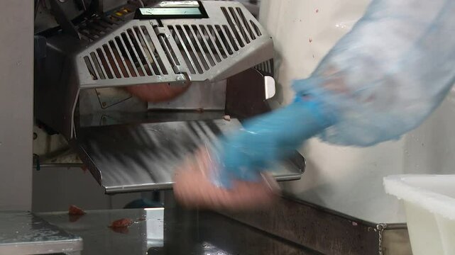 the meat processing plant is in operation carcasses are hanging in the refrigerator conveyor belt with products cutting and packing sausages