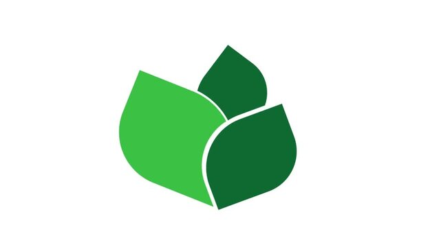 green leaf logo icon animation simple