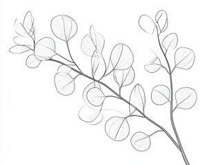 Fototapeta premium Delicate Line Art of Leaves and Branches on a White Background