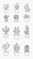 Hand-drawn plants in pots illustration with various cactus types