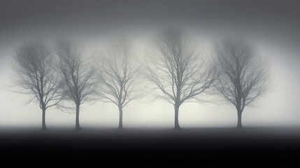 dreamlike fog on black