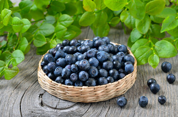 Fresh bilberry in a wicker basket