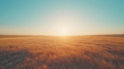 Obraz premium Golden sunset over a vast, flat grassland.