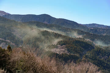 山から大量に飛散する春のスギ花粉