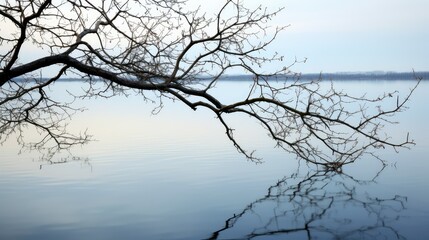 lake tree branch