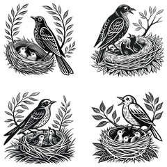 Obraz premium Mother Bird Feeding Chicks Nesting Birds Silhouette.