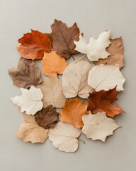 Celebration of autumn with a minimalist flat lay featuring colorful leaves arranged on a neutral background